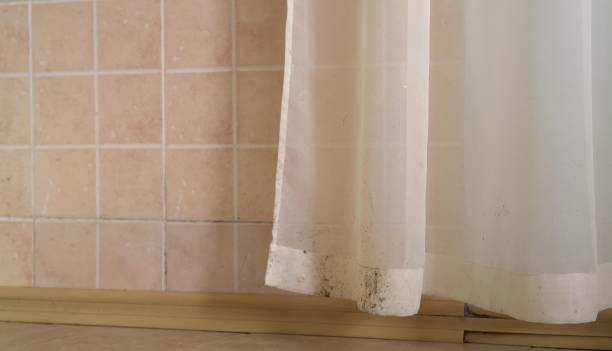 Best Real Estate Mold Inspection  in Williamsport, PA