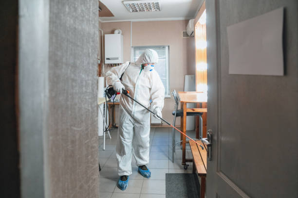 Best HVAC Mold Inspection and Cleaning  in Williamsport, PA