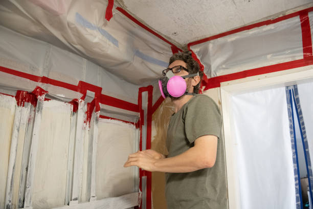 Best Mold Documentation for Insurance Claims  in Williamsport, PA