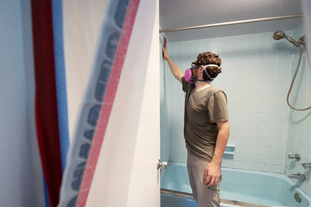 Best Basement Mold Removal  in Williamsport, PA