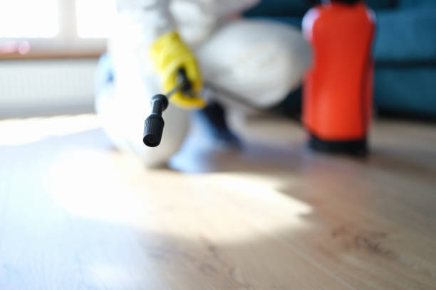 Best Comprehensive Air Testing for Mold Contaminants  in Williamsport, PA